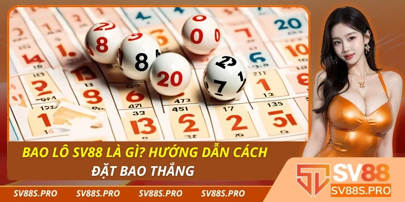 Bao Lô Là Gì